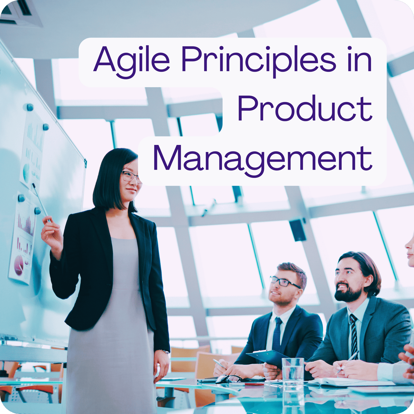 Agile Principles in Product Management