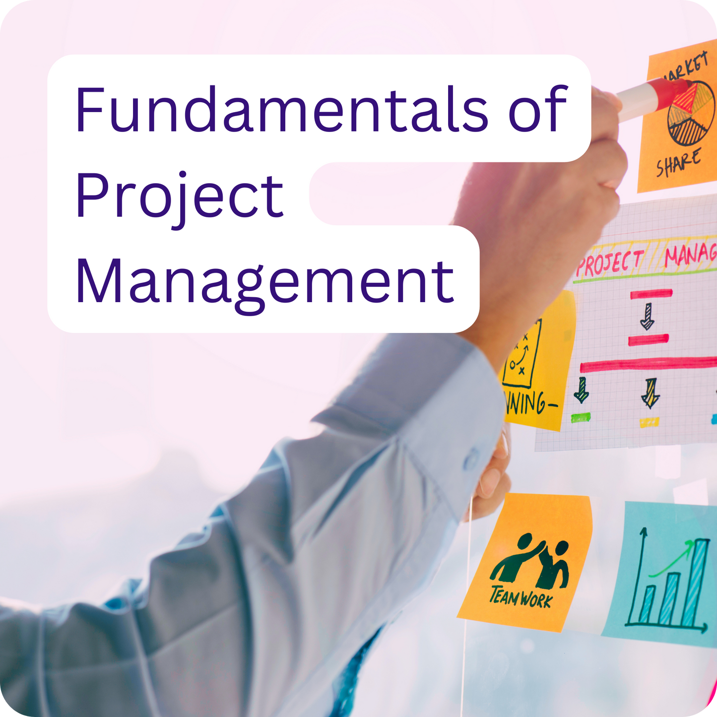 Fundamentals of Project Management