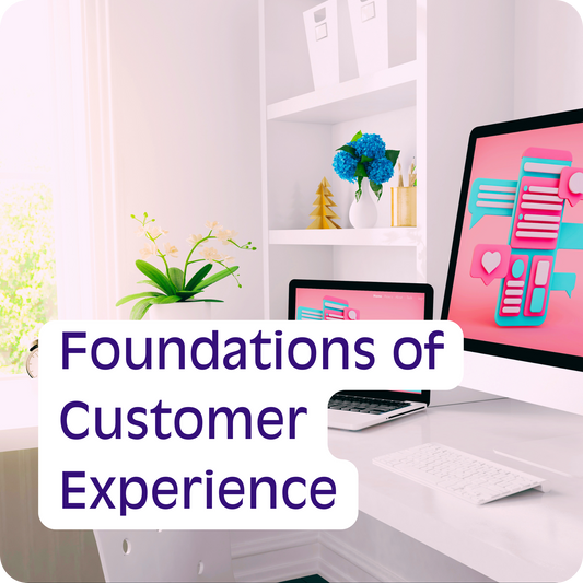 Foundations of Customer Experience