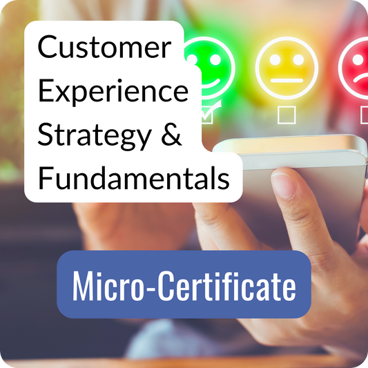 Customer Experience Strategy & Fundamentals Micro-Certificate