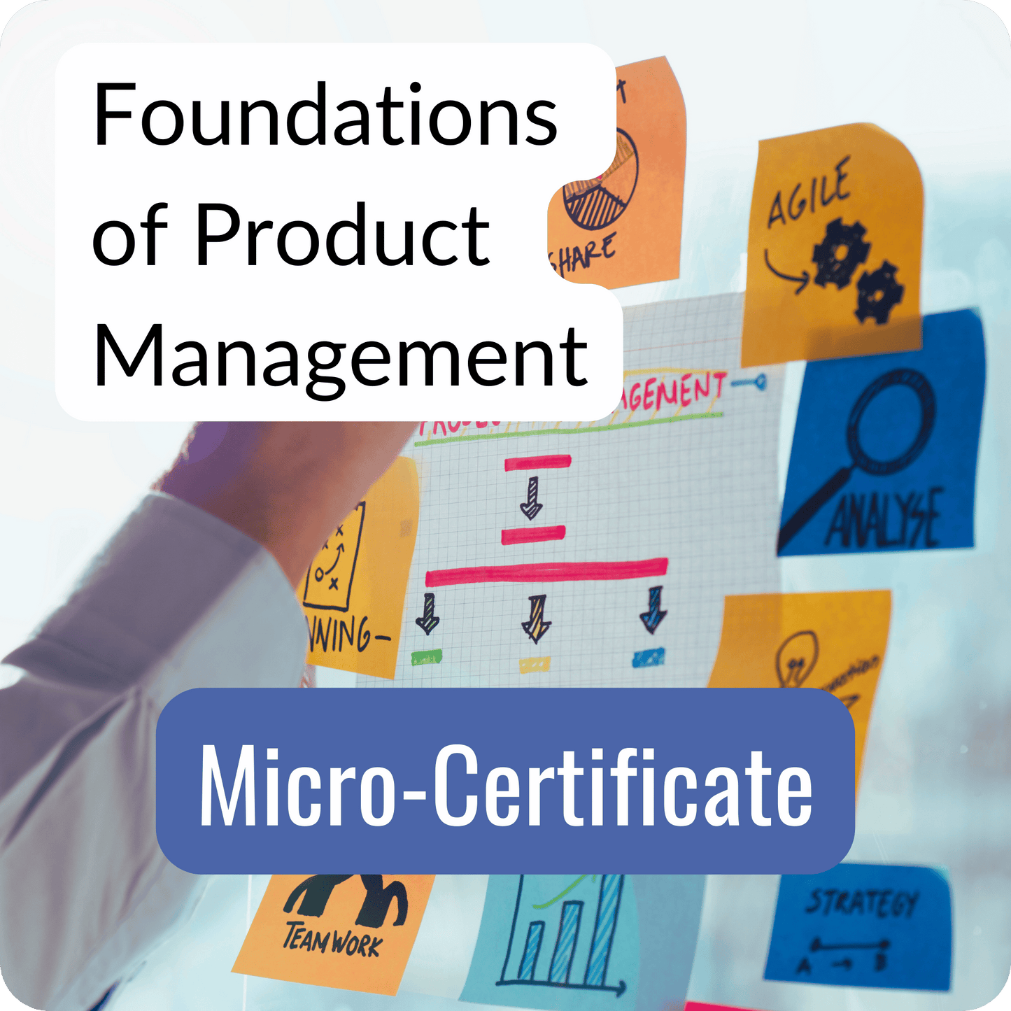 Foundations of Product Management Micro-Certificate